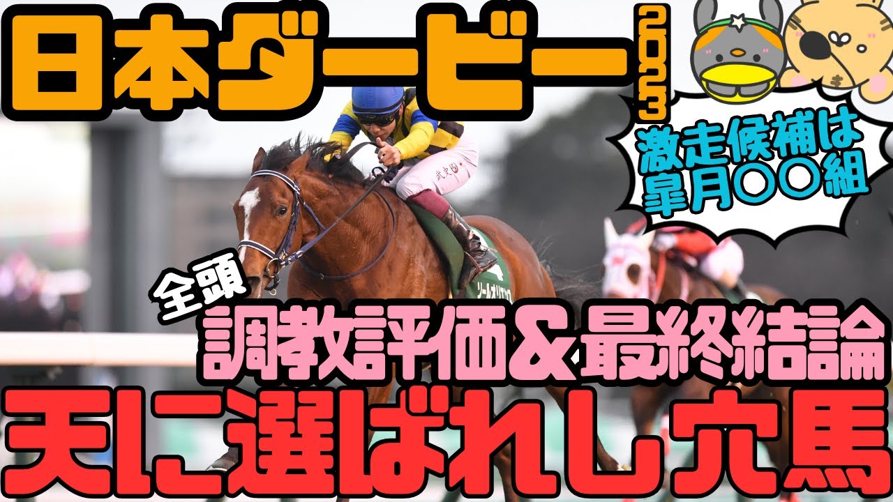 日本ダービー2023調教評価と最終結論「特殊レース皐月賞の影に潜む隠れた穴馬」【タイガーAI競馬予想/東京優駿/ソールオリエンス/スキルヴィング】