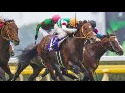 第６１回　安田記念 （ＧⅠ）　リアルインパクト　牡３　54　戸崎圭太　2011.6.5　　出走馬：ストロングリターン、スマイルジャック、クレバートウショウ、ジョーカプチーノ、アパパネ、リディル他
