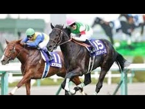第６７回　朝日杯フューチュリティステークス （ＧⅠ）　リオンディーズ　牡２　55　M.デムーロ　2015.12.20　　出走馬：エアスピネル、シャドウアプローチ、ユウチェンジ、シュウジ他