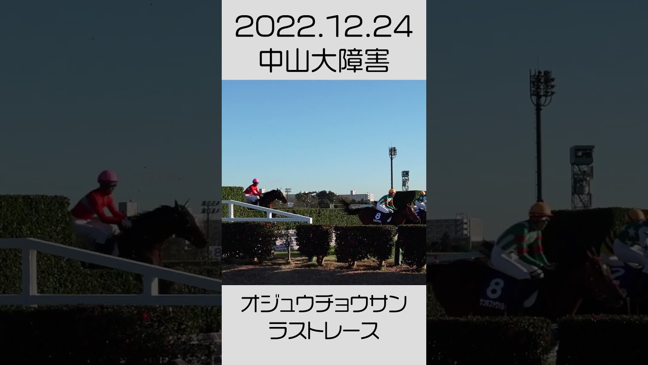 中山大障害 2022 オジュウチョウサン 最後の雄姿
