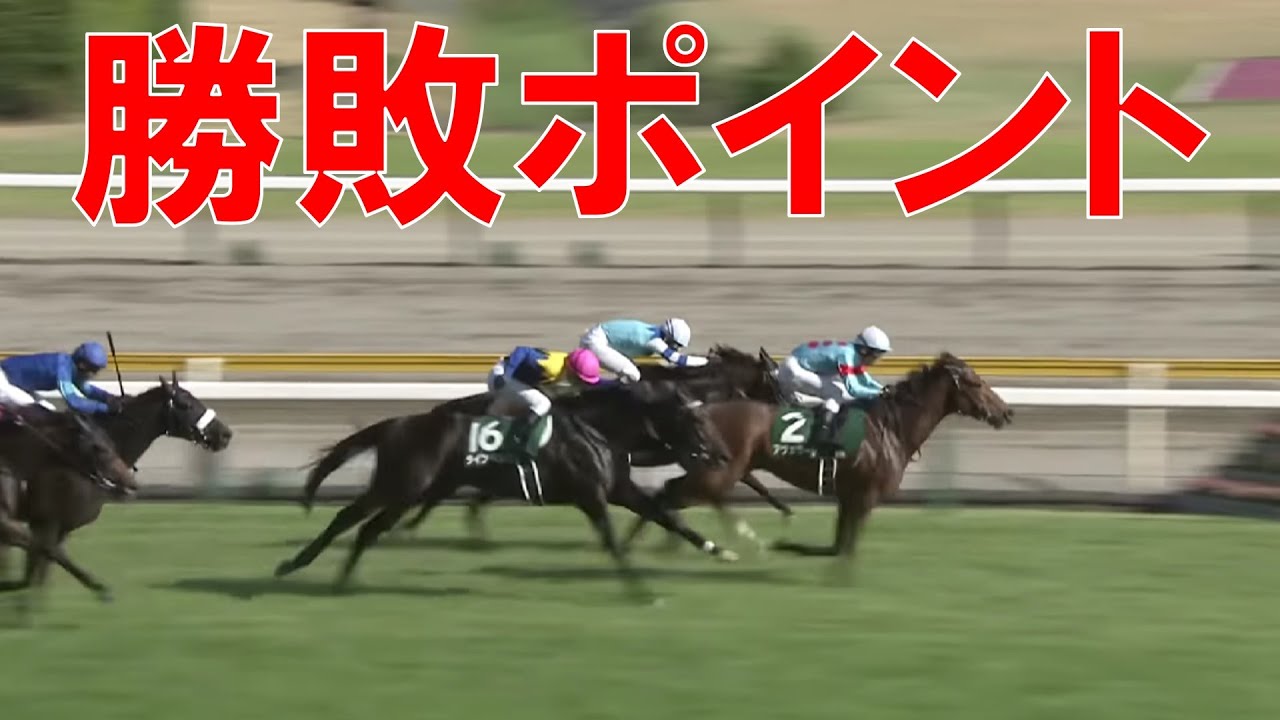 関屋記念 回顧  2023　ララクリスティーヌの敗因　アヴェラーレの勝因