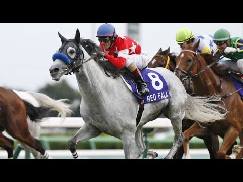 第５１回　スプリンターズステークス （ＧⅠ）　レッドファルクス　牡６　57　M.デムーロ　2017.10.1　出走馬：レッツゴードンキ、ワンスインナムーン、スノードラゴン、ブリザード、ビッグアーサー他