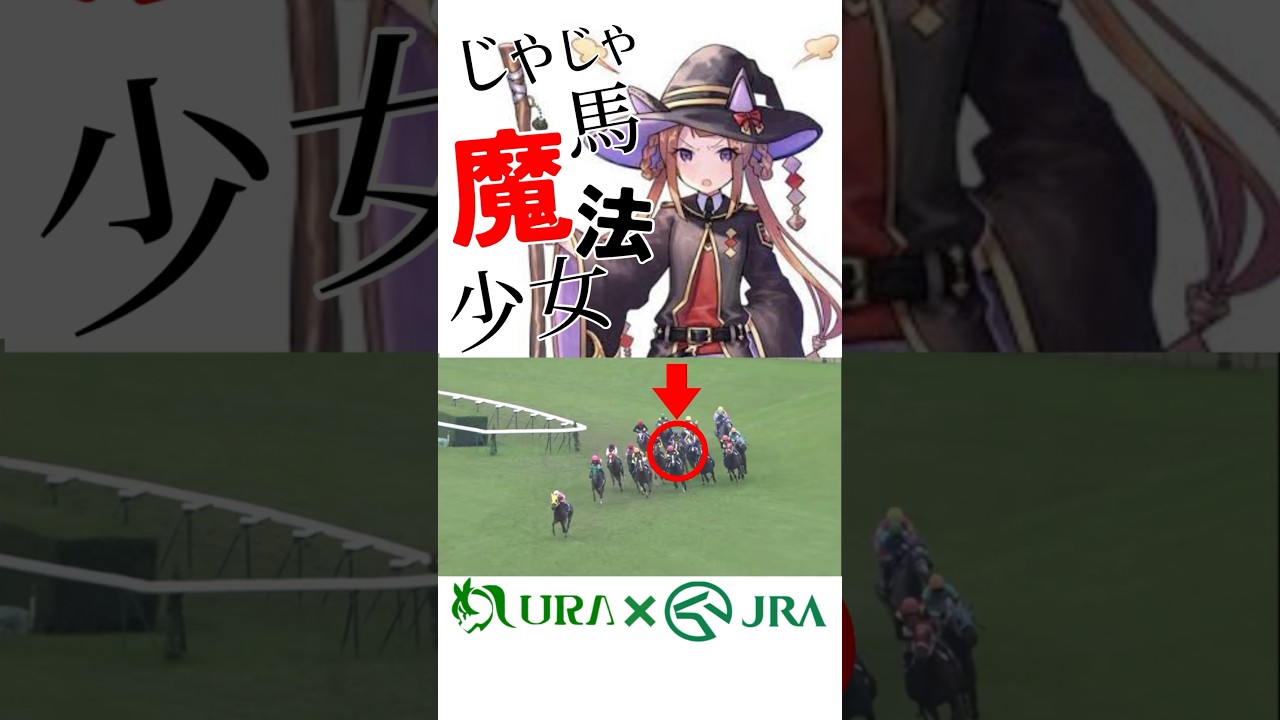 【目が覚める様な末脚】ウマ娘好きにも見て欲しい！ #スイープトウショウ #エリザベス女王杯 #ウマ娘 #競馬 #牝馬