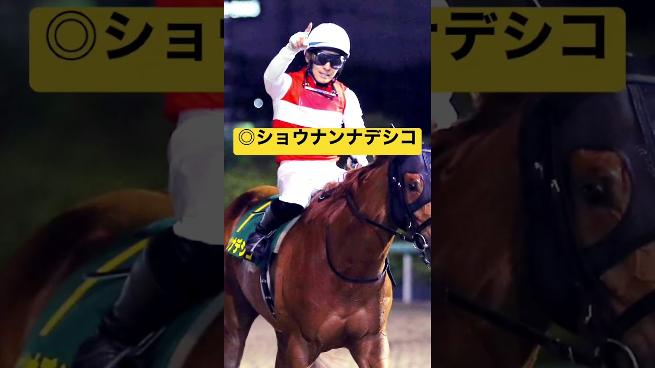 女の子がムラムラしちゃう！フェブラリーSの本命男☆#競馬 #競馬予想 #フェブラリーs #フェブラリーステークス #フェブラリーステークス2023