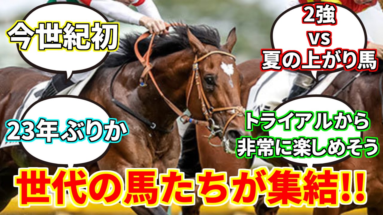 『今年の菊花賞は皐月馬、ダービー馬参戦で久々に盛り上がりそう』に対してのみんなの反応集【競馬の反応集】