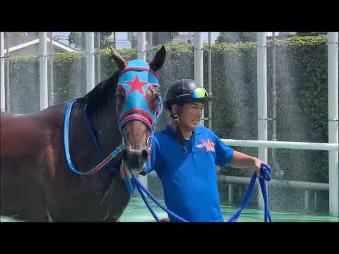 アンデスビエント･小倉･2歳新馬 2023年8月19日