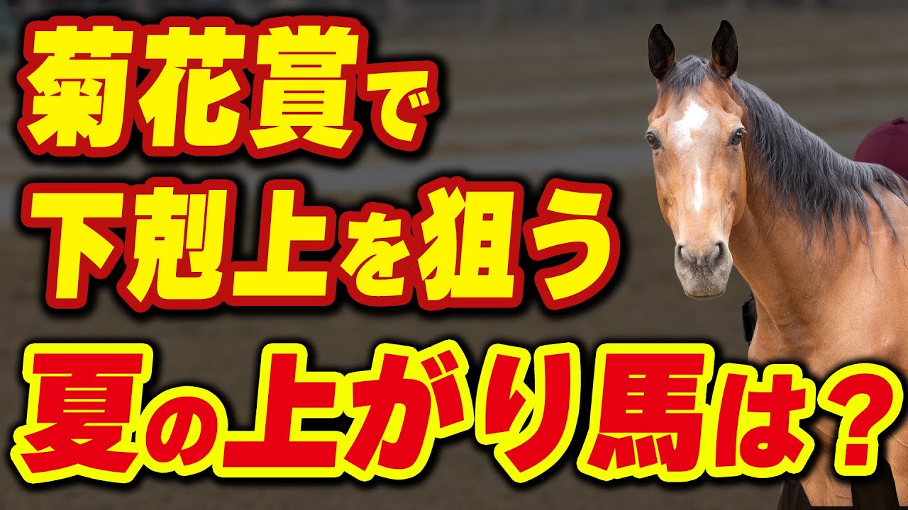 菊花賞で下剋上を狙う、この夏一番の上がり馬は？