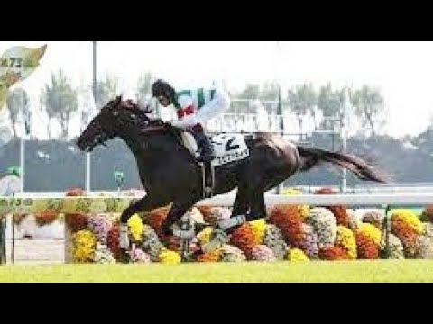 第７４回　菊花賞 （ＧⅠ）　エピファネイア　牡３　57　福永祐一　2013.10.20　　出走馬：サトノノブレス、バンデ、ラストインパクト、ケイアイチョウサン、フルーキー、アドマイヤスピカ他