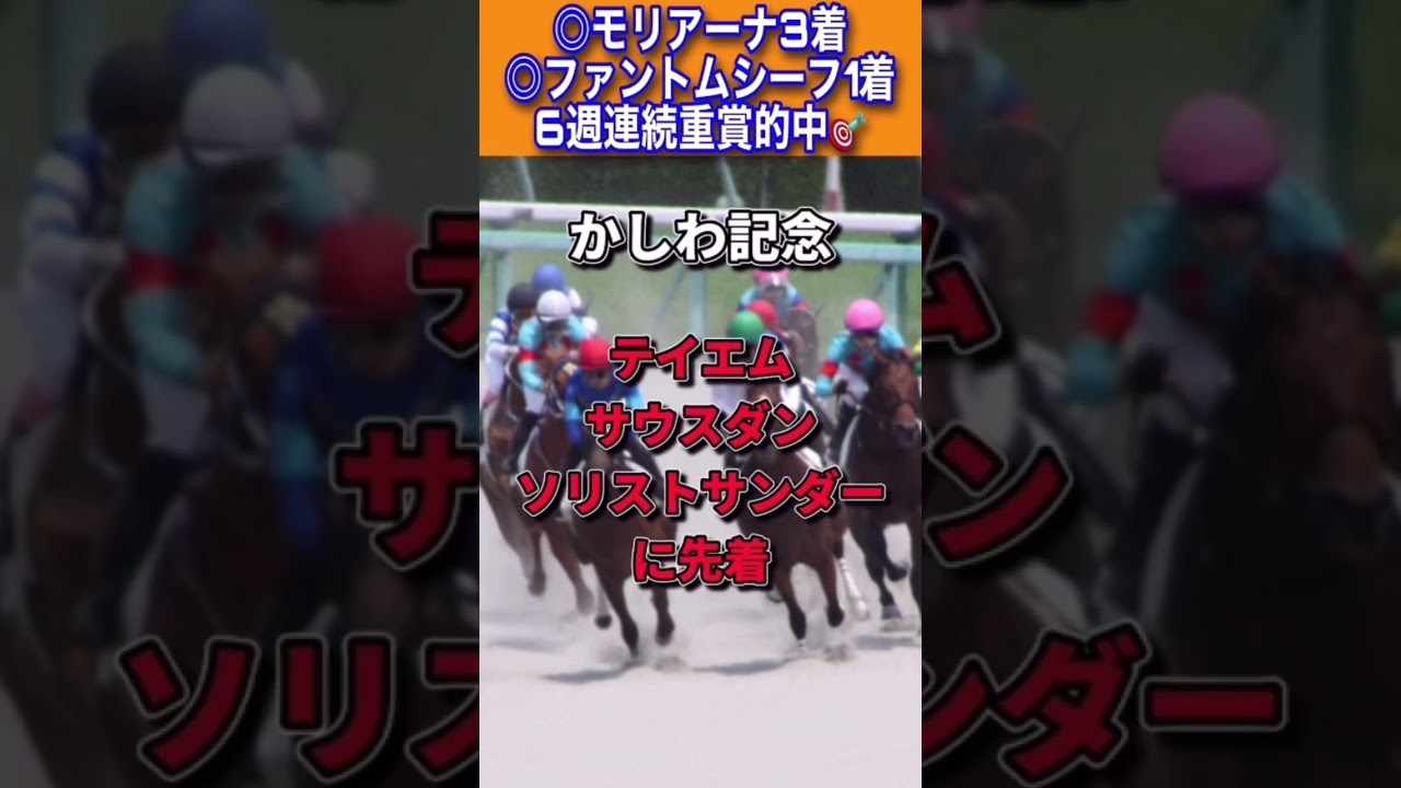 【フェブラリーステークス2023】30秒でわかるショウナンナデシコ