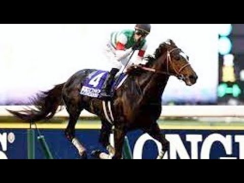 第３４回　ジャパンカップ （ＧⅠ）　エピファネイア　牡４　57　C.スミヨン　2014.11.30　　出走馬： ジャスタウェイ、スピルバーグ、ジェンティルドンナ、ハープスター、ワンアンドオンリー 他