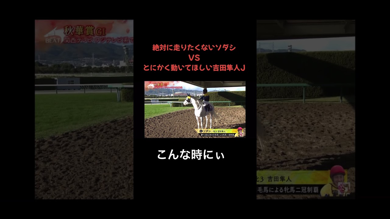 ソダシvs吉田隼人ジョッキーPart1  #競馬 #ソダシ