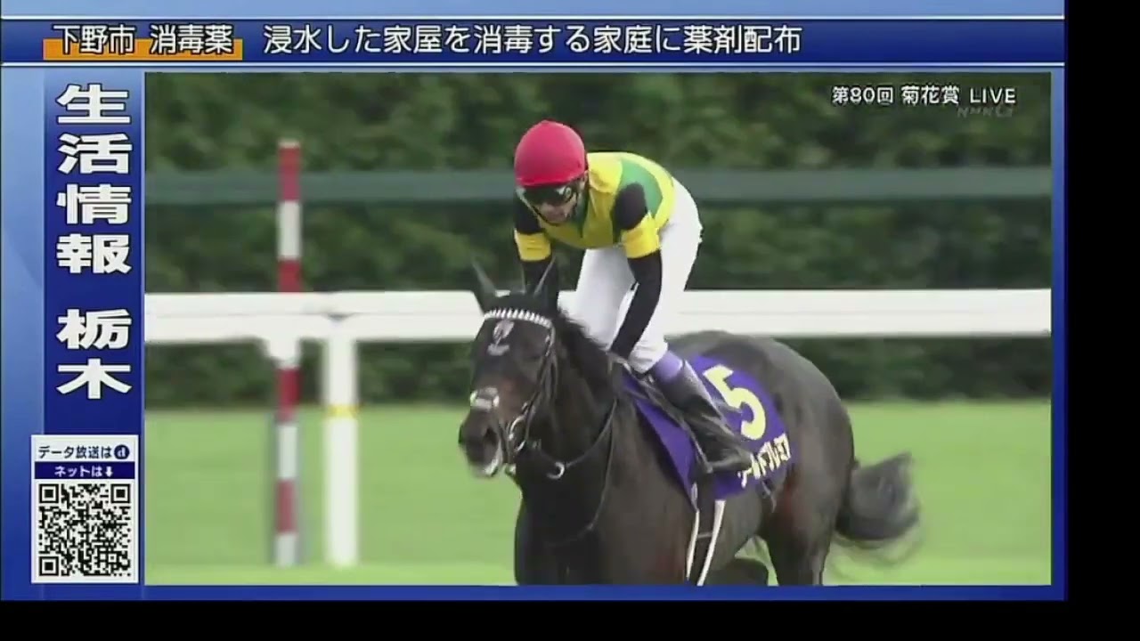 2019菊花賞　レース終り後の豊さんとワープレ
