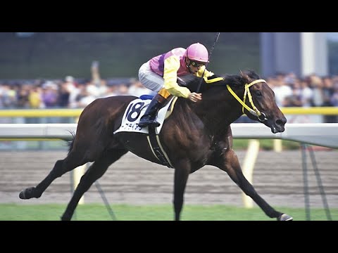 第６４回　東京優駿（日本ダービー）（ＧⅠ）　サニーブライアン　牡３　57　大西直宏　1997.6.１　　出走馬：シルクジャスティス、メジロブライト 、マチカネフクキタル 、サイレンススズカ他