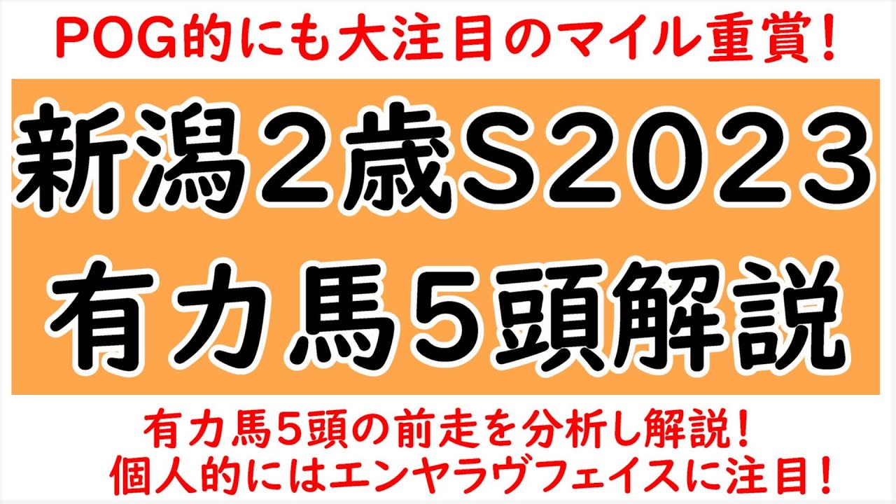 新潟2歳ステークス2023有力馬5頭解説！各馬の前走を分析し解説！エンヤラヴフェイスに注目のレースか！？【新潟2歳ステークス2023】
