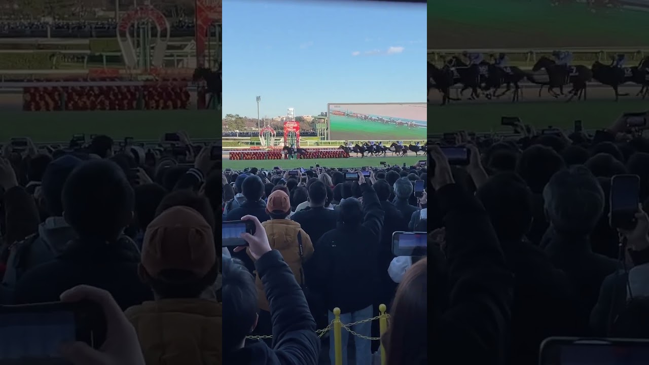 2022 有馬記念　ざっけぇん