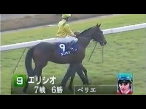 第１６回　ジャパンカップ （ＧⅠ）本馬場入場　1996.11.24　　出走馬：エリシオ、バブルガムフェロー、シングスピール、ファビラスラフイン、ダンスパートナー、タイキフォーチュン、ペンタイア他