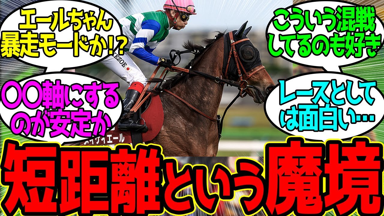 【悲報】今年のスプリンターズS、魔境すぎる…に対するみんなの反応！【競馬 の反応集】
