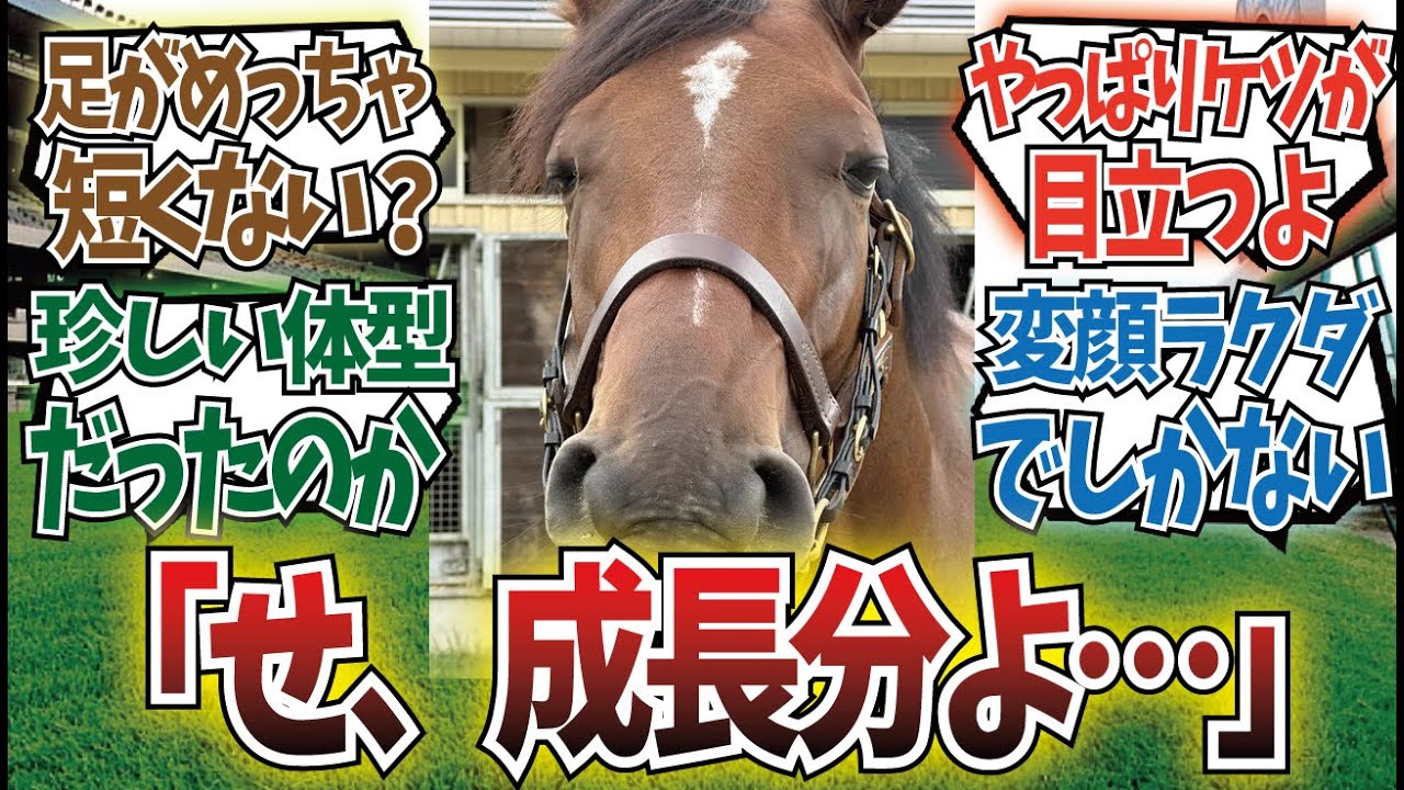 「リバティアイランド放牧でおデブ化」に対するみんなの反応集