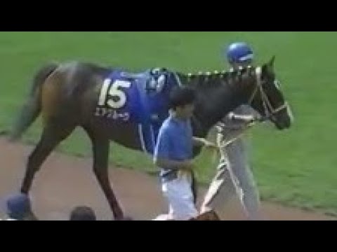 第57回　優駿牝馬（オークス）（ＧⅠ）オークス　パドック　1996.5.26　　出走馬： ファイトガリバー、ハダシノメガミ、ノースサンデー、マックスロゼ、リトルオードリー、エリモシック、エアグルーヴ他
