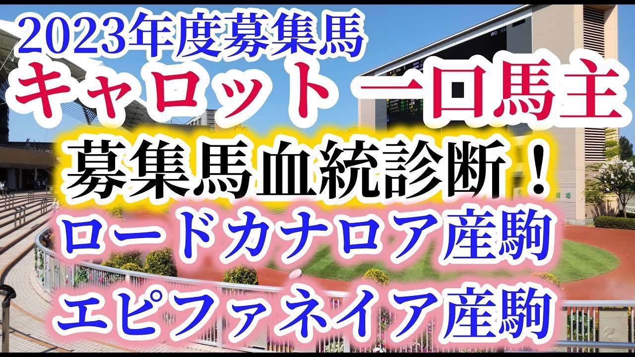 【キャロットクラブ】【一口馬主】募集馬血統診断！ロードカナロアとエピファネイア産駒編！