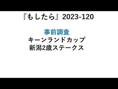 『もしたら』事前調査【キーンランドカップ🐴新潟2歳ステークス】2023-120