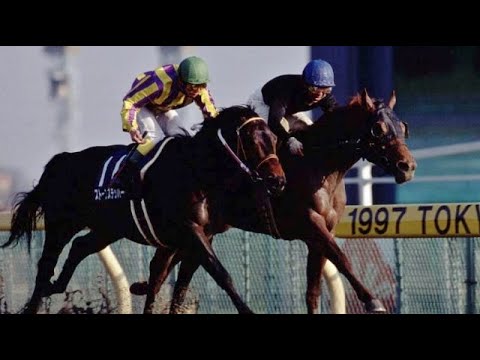 第１４回　フェブラリーステークス （ＧⅠ）　シンコウウインディ　牡４　56　岡部幸雄　1997.2.16　出走馬：ストーンステッパー、バトルライン 、ビコーペガサス、ビッグショウリ、ユーコーマイケル他