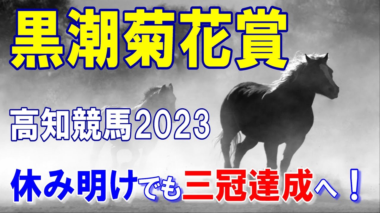 黒潮菊花賞【高知競馬2023予想】休み明けでも三冠達成へ！！