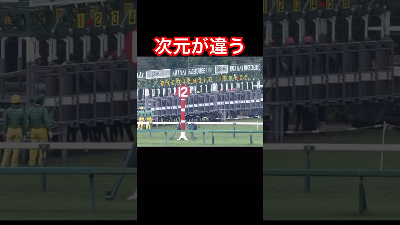 次元が違う#shorts#競馬#スプリンターズステークス