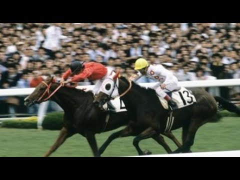 第４７回　東京優駿（日本ダービー）　オペックホース　牡３　57　郷原洋行　1980.5.25　　出走馬：モンテプリンス、テイオージャ、サクラシンゲキ、ハーバーシャレード、サーペンプリンス他
