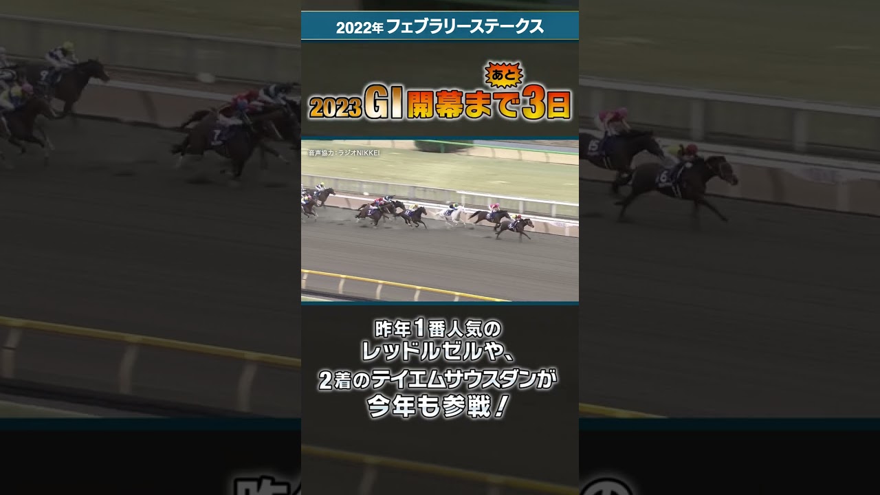 2023年フェブラリーステークスまであと3日 #jra  #shorts  #フェブラリーステークス #レッドルゼル  #テイエムサウスダン #ソリストサンダー