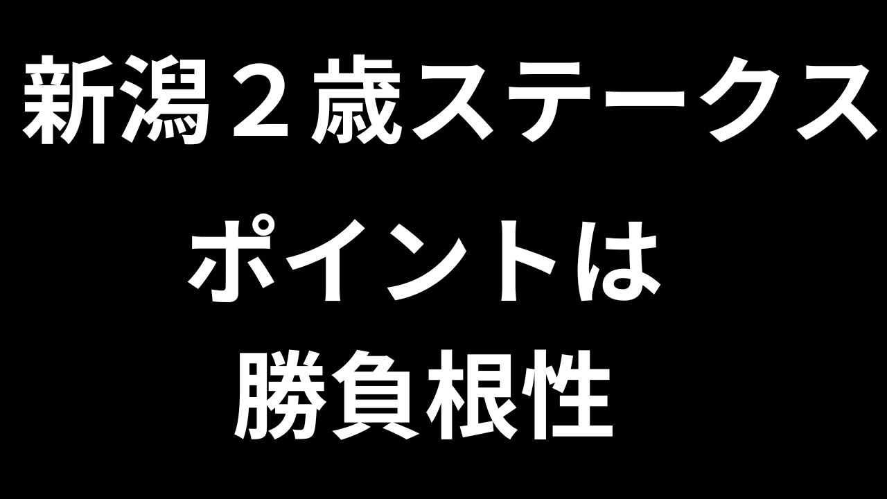 【新潟２歳ステークス】あれから１年、キタウイングは終わってはいない、そして、今年狙うならこういう馬