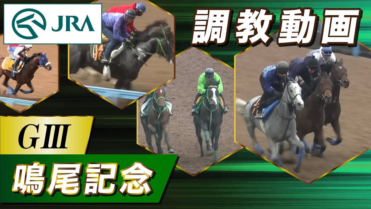 【調教動画】2023年 鳴尾記念｜JRA公式