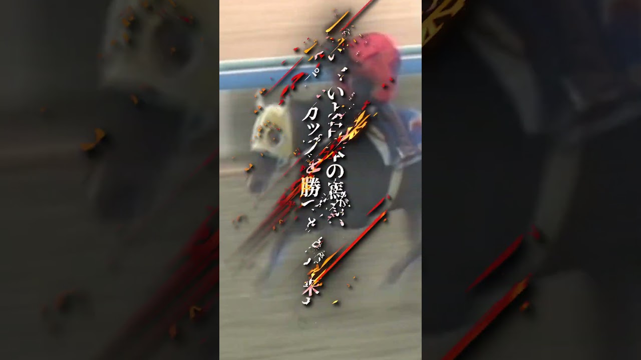 日本中が驚いた逃走劇！常識も壁も全部蹴散らしたその後ろ姿に、ぼくたちは天翔けるサラブレッドの夢を見た。　#shorts #競馬 #カツラギエース