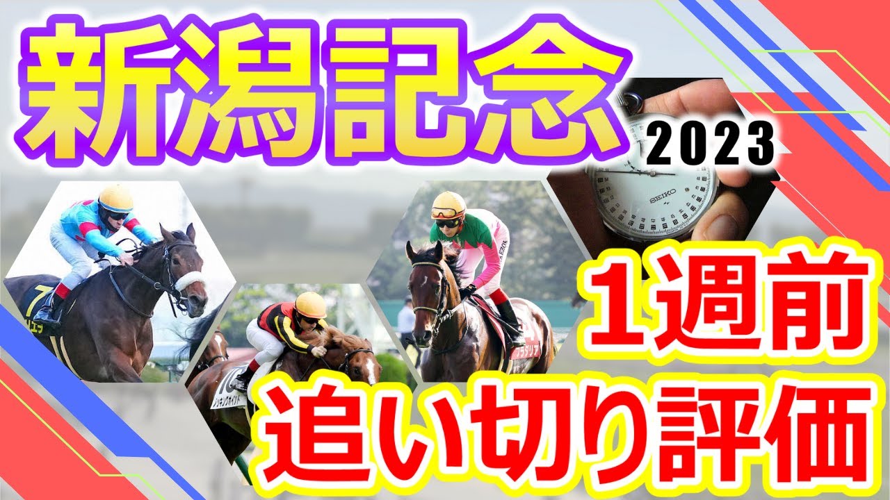 【新潟記念2023】1週前追い切り評価　サリエラ･プラダリア･ノッキングポイントなど中距離路線の実力馬を中心に秋の重賞戦線に向けても楽しみなメンバーが集結‼︎出走各馬の仕上がり具合をチェック‼︎