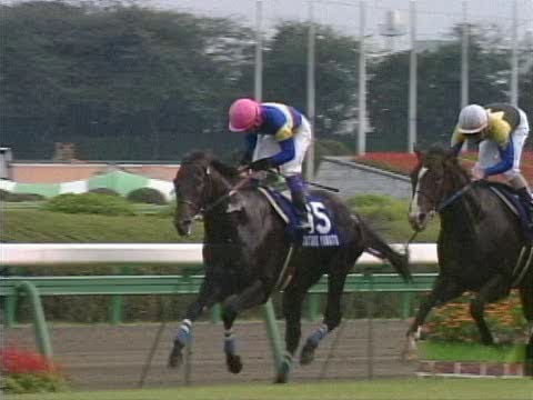 【ダイタクヤマト】スプリンターズステークス2000年10月1日 「逃げ切った！x3」