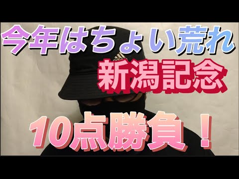 【新潟記念2023】新潟記念2023の予想！注目はサリエラVSノッキングポイント！新潟競馬場で開催される新潟記念も10点勝負で勝確だ！🎯副業勝確競馬🏇#259 #新潟記念2023#新潟記念