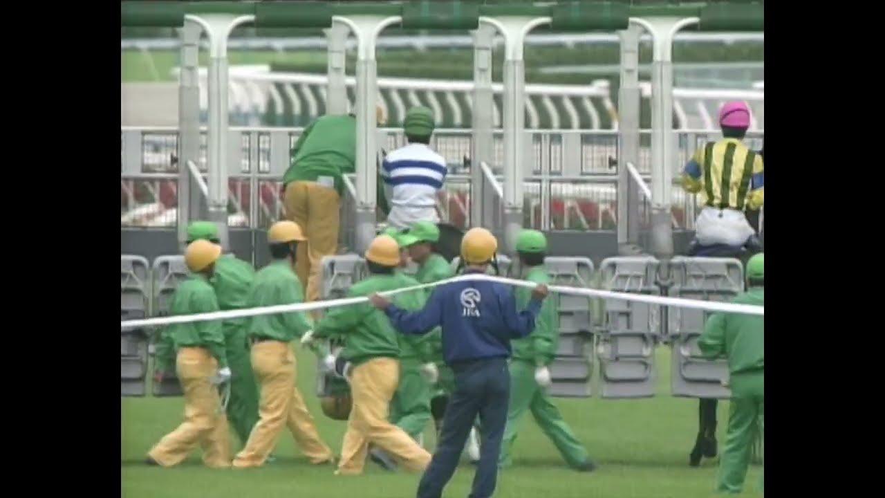 ヒシアマゾン 1996年 第21回エリザベス女王杯(GI) (優勝馬：ダンスパートナー)