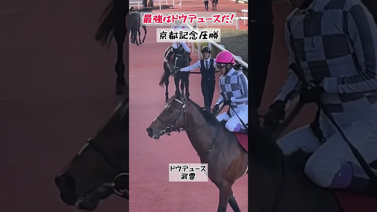 最強は、譲らない！ドウデュースとレジェンド武豊騎手、京都記念圧勝✨さぁ、ドバイへ#shorts