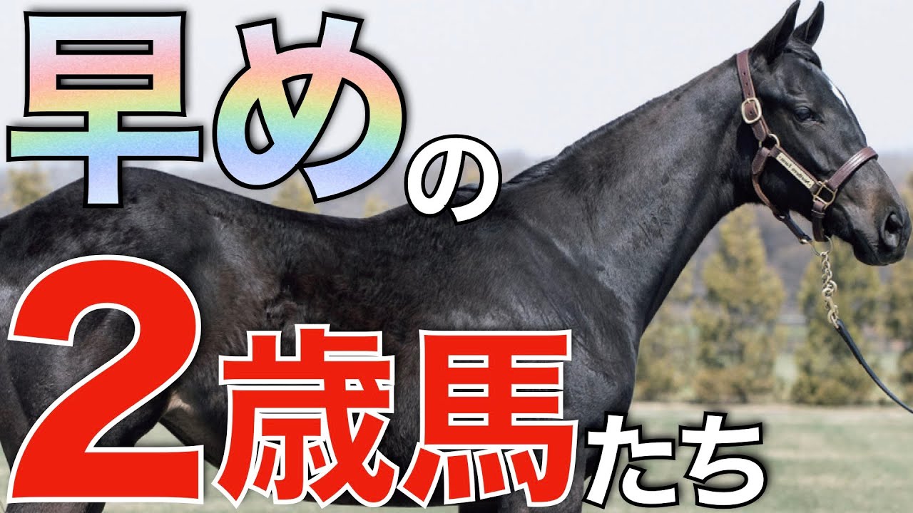 【血統馬揃う】早期デビュー目指して2歳馬たちが続々と入厩！あの最強馬の妹も。