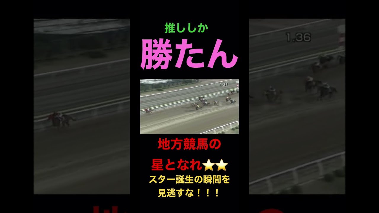 フェブラリーステークス　やる奴を探したらこいつしかおらん！！地方競馬から新たなスタートの誕生の瞬間を見逃すな！ #競馬 #競馬予想 #フェブラリーステークス #スピーディキック