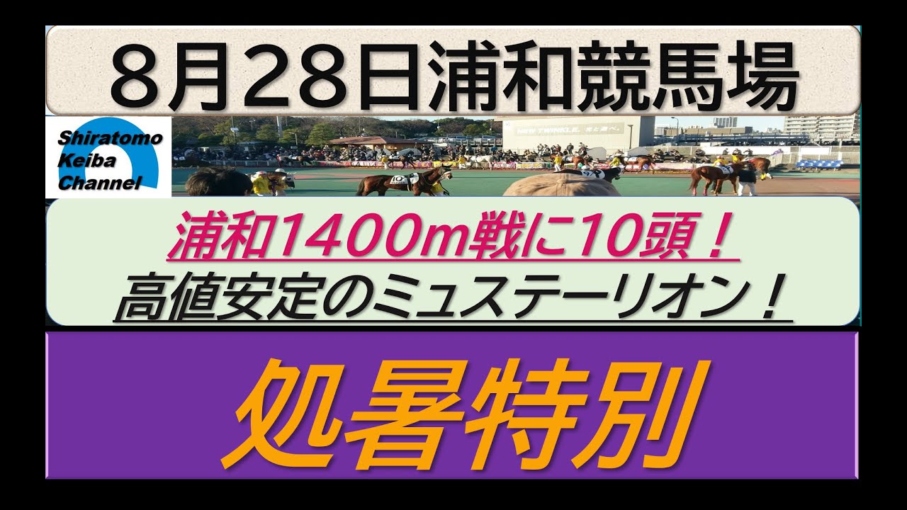 【競馬予想】処暑特別　安定感抜群ミュステーリオン！～２０２３年８月２８日 浦和競馬場 ：８－４７