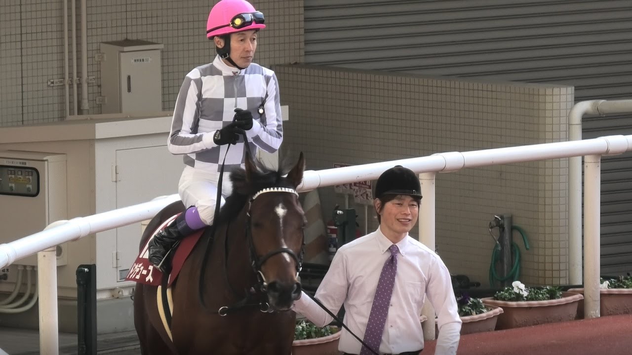 【2023京都記念】ドウデュースを愛でるだけのパドック