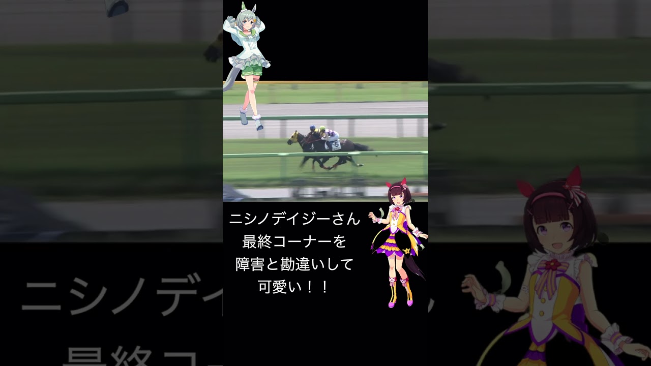 #shorts ニシノデイジー 最終コーナーを障害と勘違い！飛び越えようとして可愛い！ 競馬 障害戦 セイウンスカイ ニシノフラワー ウマ娘 中山大障害
