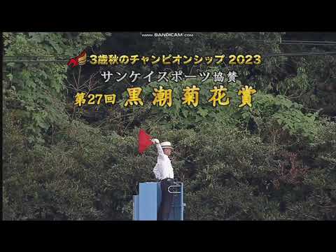 2023年 黒潮菊花賞（重賞）ファンファーレ