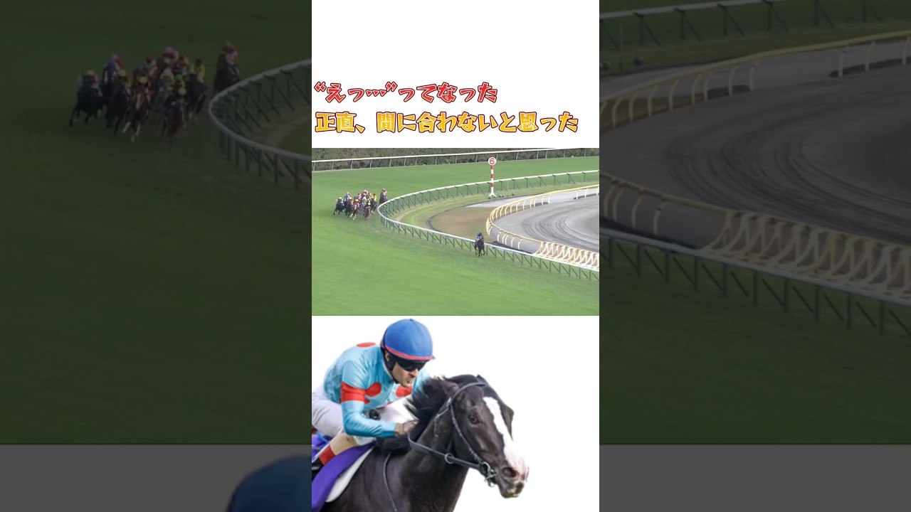 イクイノックス～戦友の絆を胸に走った天皇賞秋 #競馬 #ルメール #アスクビクターモア #田村調教師 #木村調教師 #菊花賞