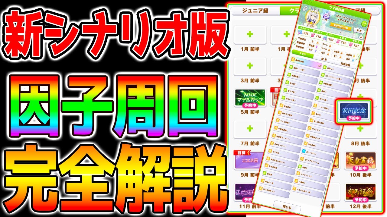 【ウマ娘】新シナリオ版 因子周回『完全解説』デッキ構成！ローテ！立ち回り！やり方解説！【ウマ娘プリティーダービー新シナリオ 根性育成 凱旋門賞連覇 新ガチャ評価など概要欄】