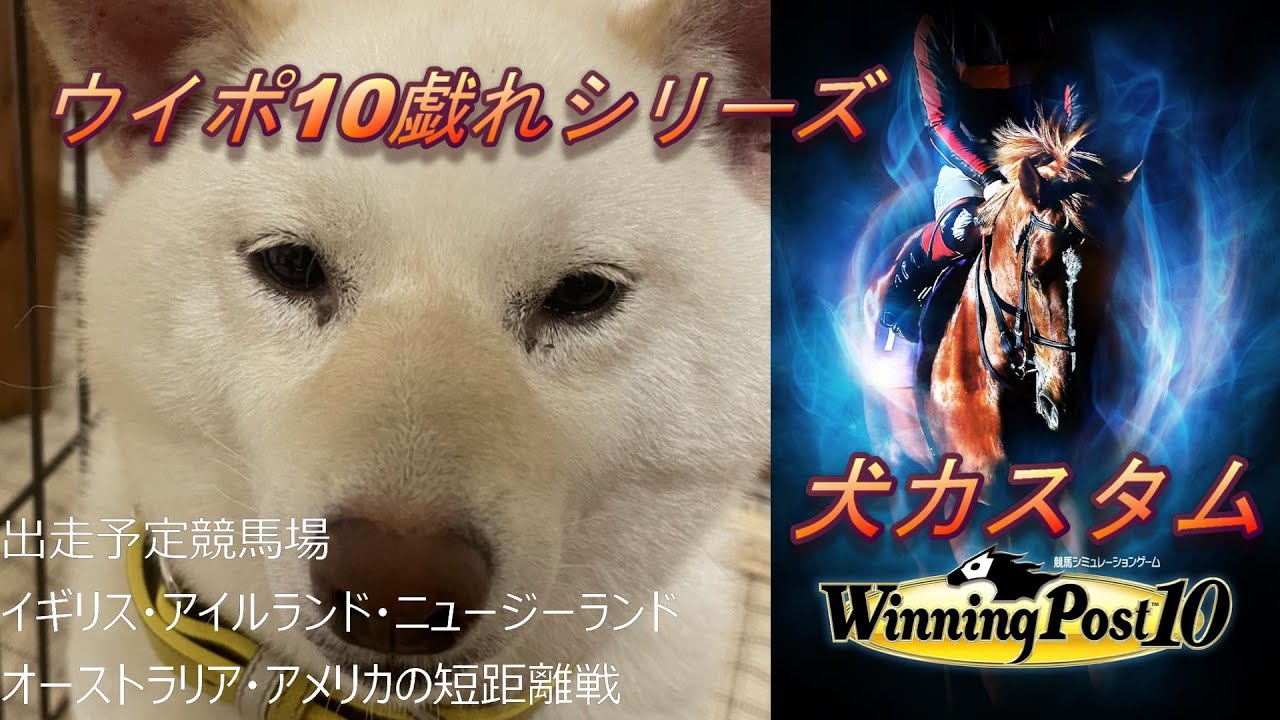 【#ウイニングポスト10] 　犬カスタムと最弱王の練習試合　ウイポ１０(=ﾟωﾟ)ﾉ