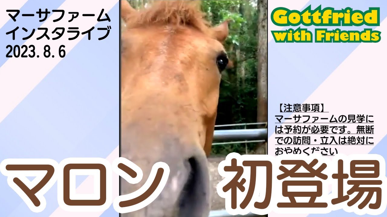 マーサファームインスタライブ【2023年8月】
