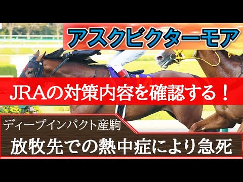【競馬情報】アスクビクターモア急死！JRAの熱中症対策内容を確認する！対策案はすでに出ており、その内容を今一度確認してみましょう。