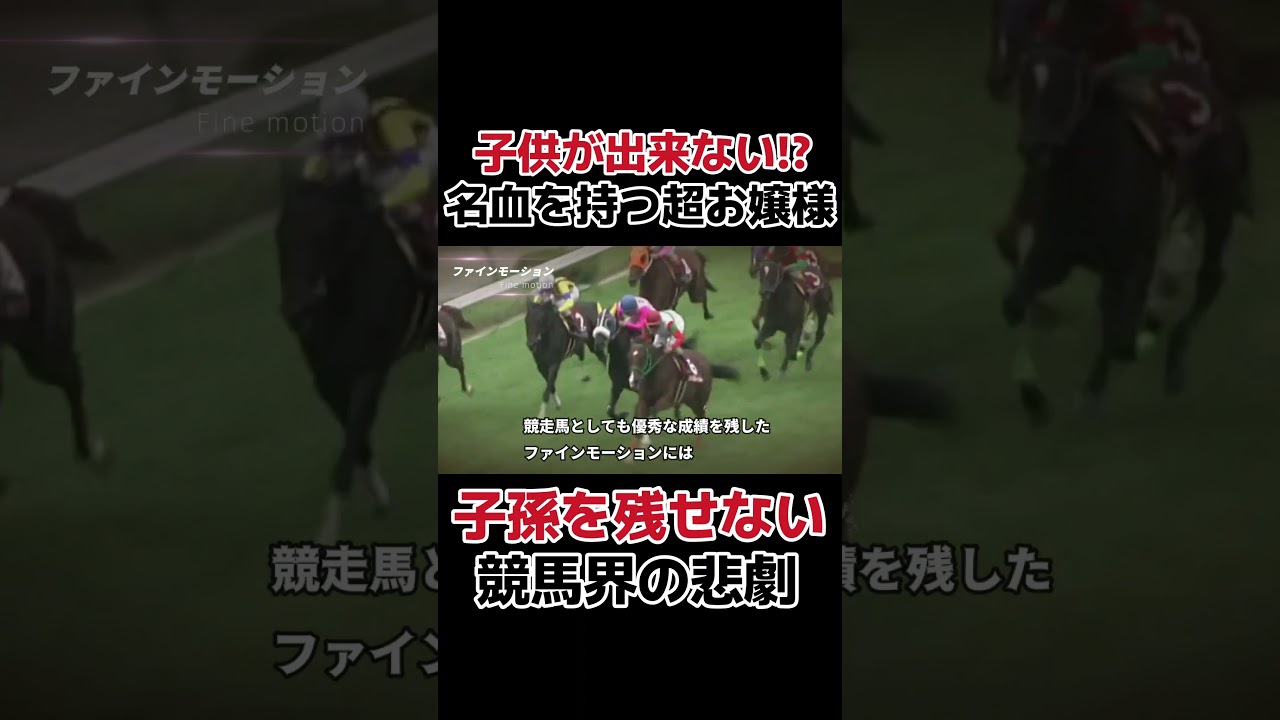子供が出来ない！？世界的な名牝に起きた悲劇　ファインモーション　#競馬 #ウマ娘 #武豊 #jra #中央競馬